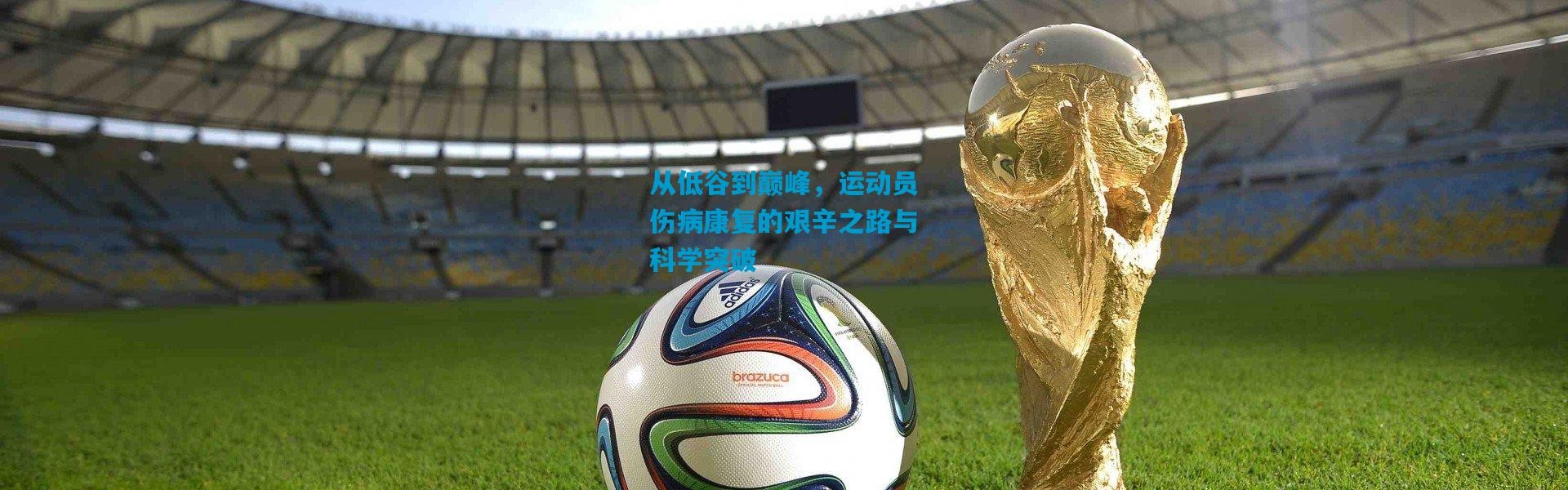 从低谷到巅峰，运动员伤病康复的艰辛之路与科学突破