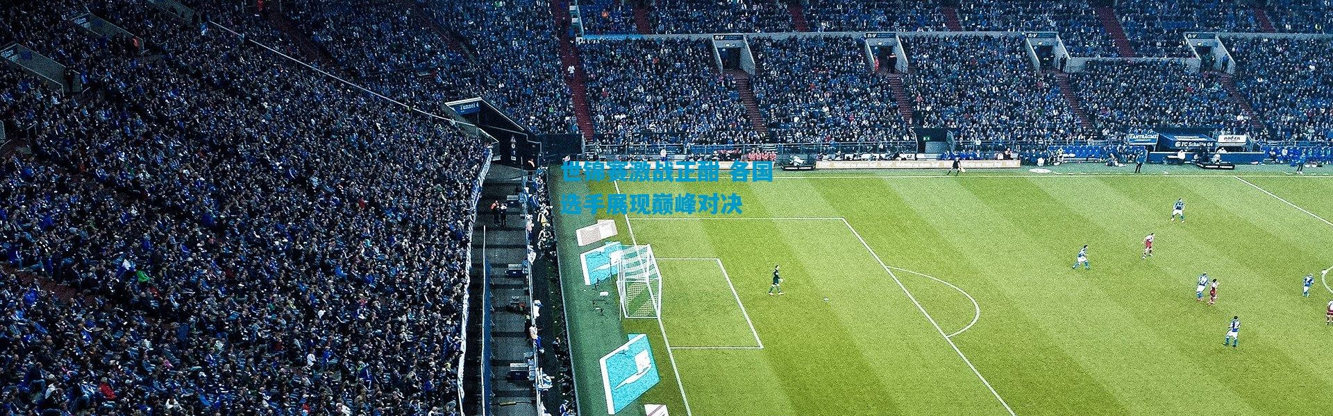 世锦赛激战正酣 各国选手展现巅峰对决