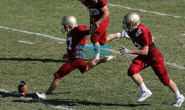 全国羽毛球锦标赛圆满落幕，新锐选手斩获男单冠军