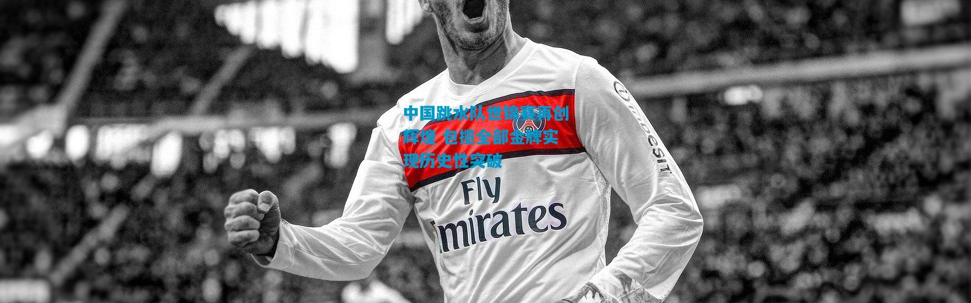 中国跳水队世锦赛再创辉煌 包揽全部金牌实现历史性突破