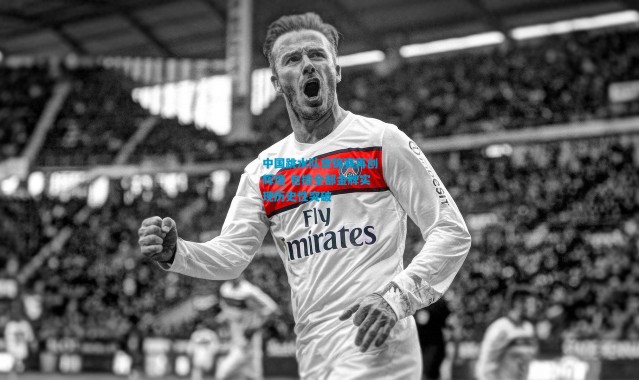 中国跳水队世锦赛再创辉煌 包揽全部金牌实现历史性突破