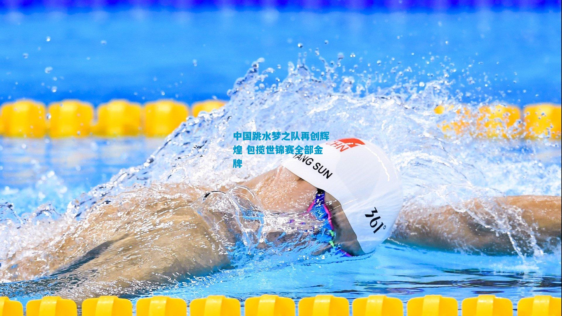 中国跳水梦之队再创辉煌 包揽世锦赛全部金牌