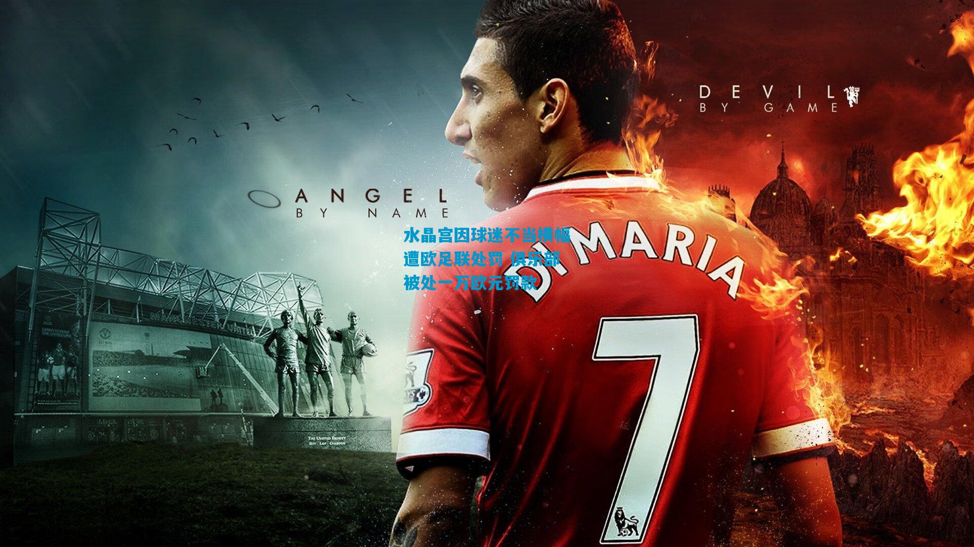 水晶宫因球迷不当横幅遭欧足联处罚 俱乐部被处一万欧元罚款